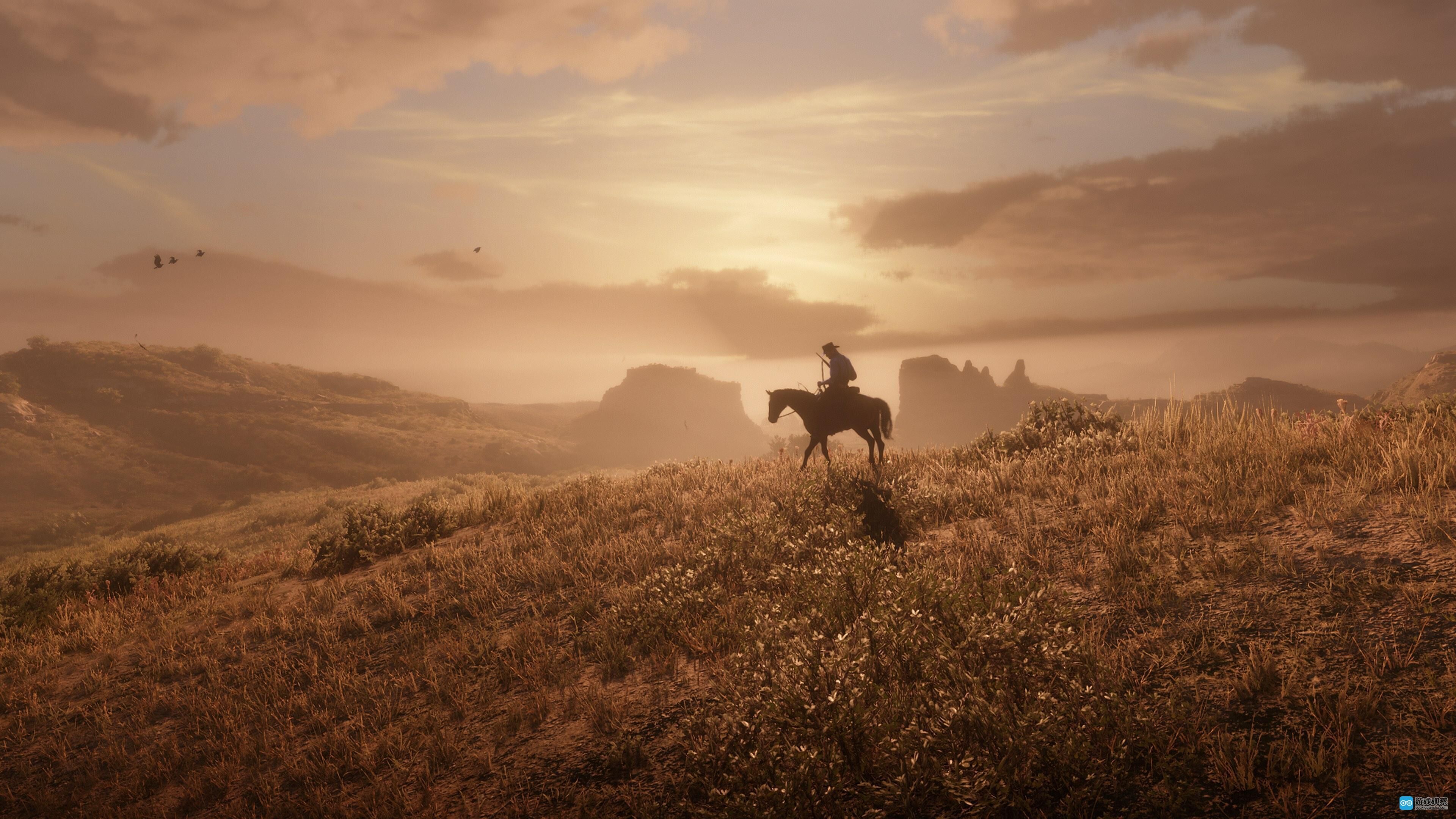 荒野大镖客救赎攻略合集分享-荒野大镖客救赎攻略大全