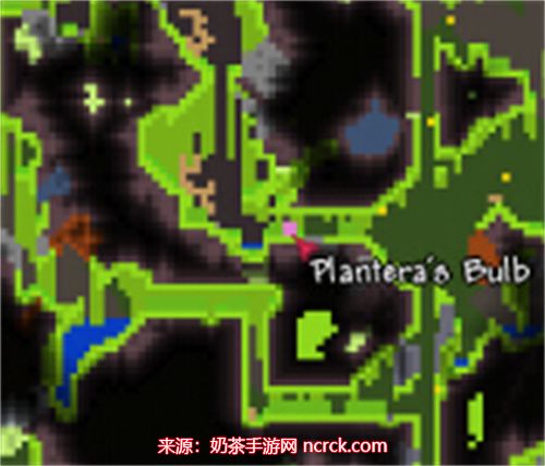 泰拉瑞亚世纪之花花苞怎么找 花苞出现条件及刷新时间