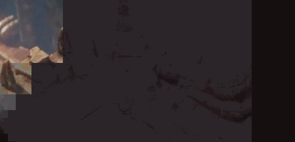 命运方舟研究所小岛位置介绍 命运方舟研究所小岛在哪