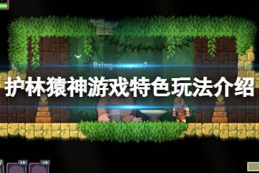 《护林猿神》游戏特色玩法介绍