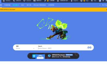 《英雄联盟》opgg搜索职业选手介绍