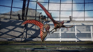 最新爆料《侏罗纪世界：进化3》将于2026年5月正式上映