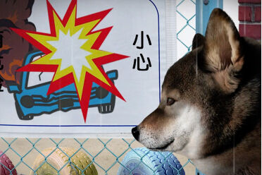 恐怖游戏《翌日 -波奇狗的历险记-》在Steam页面上线