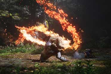 曝PS5《黑神话：悟空》为2K/60帧！且有望提升至4K