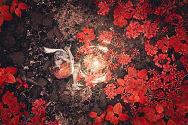 博主晒多张《艾尔登法环》DLC壁纸级截图：画面绝美！