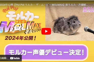 《PUI PUI天竺鼠车车THE MOVIE MOLMAX》公开信息
