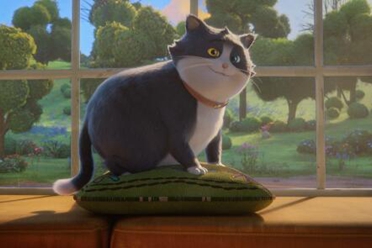 《九命猫的奇幻旅程》8月8日中英文版同步上映