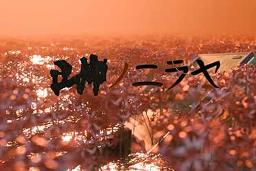 《寂静岭：短讯》开发商恐怖新作《■■之泥犁》预告