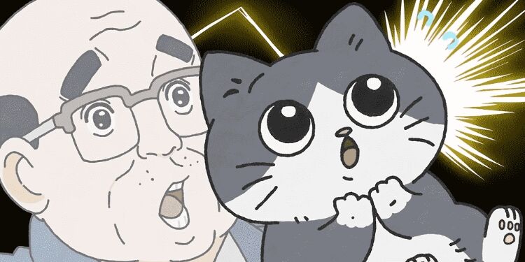 看“地中海”大叔卖萌？我到底什么癖好？