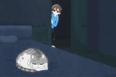 《关于养猫我一直是新手》第三季PV公开！12月开播