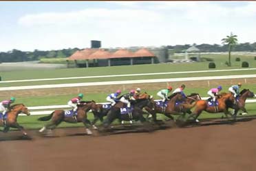 《赛马大亨10 2025》先导宣传片公布！明年3月发售