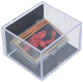 神似宝可梦喷火龙的火辣味奇多拍卖最终价格64万元