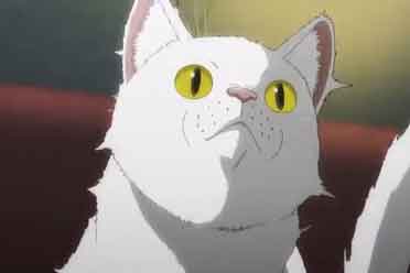 惊悚动漫《活尸猫之夜》曝新预告 当世界被猫统治~