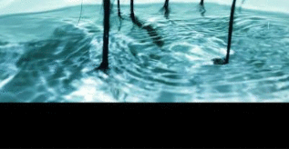 手把手教你使用抖音拍出水波纹视频的详细步骤