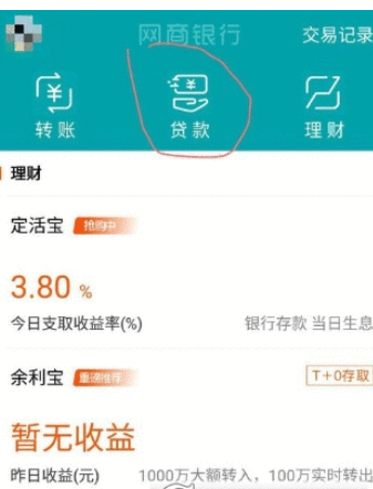 在网商银行中进行借款的详细步骤