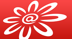 掌上生活里查看账单明细的图文教程