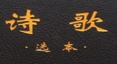 在诗歌本中分享诗歌的方法介绍