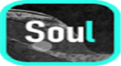 在soulAPP里进行匹配的方法介绍