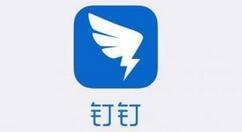 在钉钉中填写周报总结的具体步骤