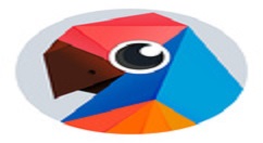 在有道翻译官中离线翻译使用的方法介绍