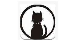 猫咪磁力搜索APP的使用过程介绍