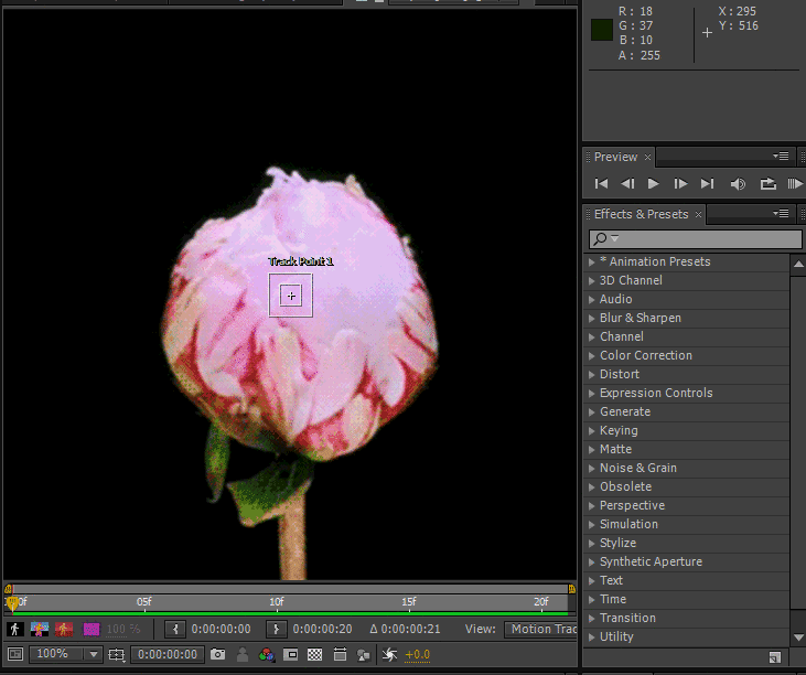 AE制作花开动画的图文操作过程截图