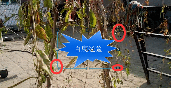 使用camtasia给视频添加注释的使用步骤截图