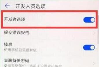 在华为p30pro中打开开发者选项的方法介绍截图