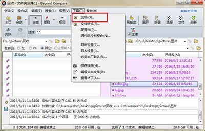 Beyond Compare日志面板添加背景色的操作流程截图