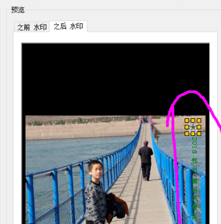ACDSee批量为照片添加文字以及水印的使用教程截图