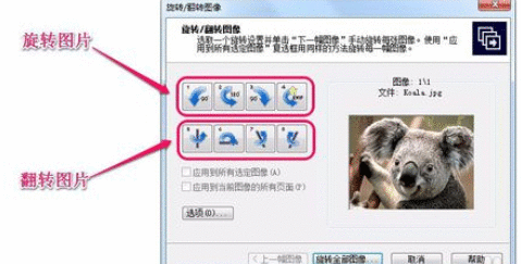 ACDSee翻转单张图像的操作教程截图