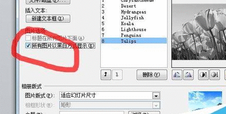 PowerPoint Viewer批量导入照片的详细操作步骤截图