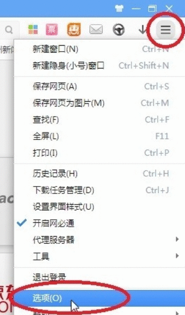 360极速浏览器打开网必通的操作方法截图