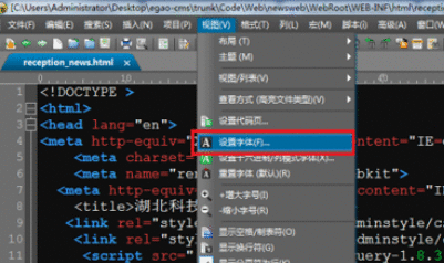 UltraEdit调整字体大小的具体方法介绍截图