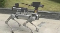 成都造机器狗“削树如泥” 搭载激光炮