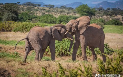 《反恐精英1.6》评测：游戏性极佳的多人在线射击游戏