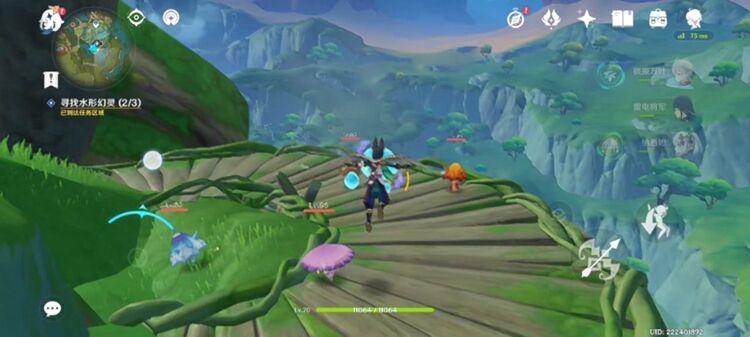 《原神》寻找水形幻灵任务怎么做