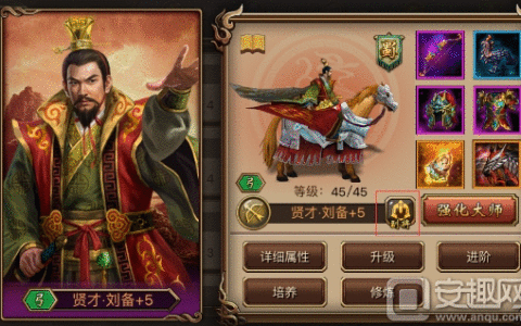 三国群英传副将系统怎么玩 副将怎么获得