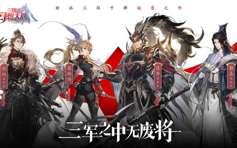 三国志幻想大陆：不重要的细节