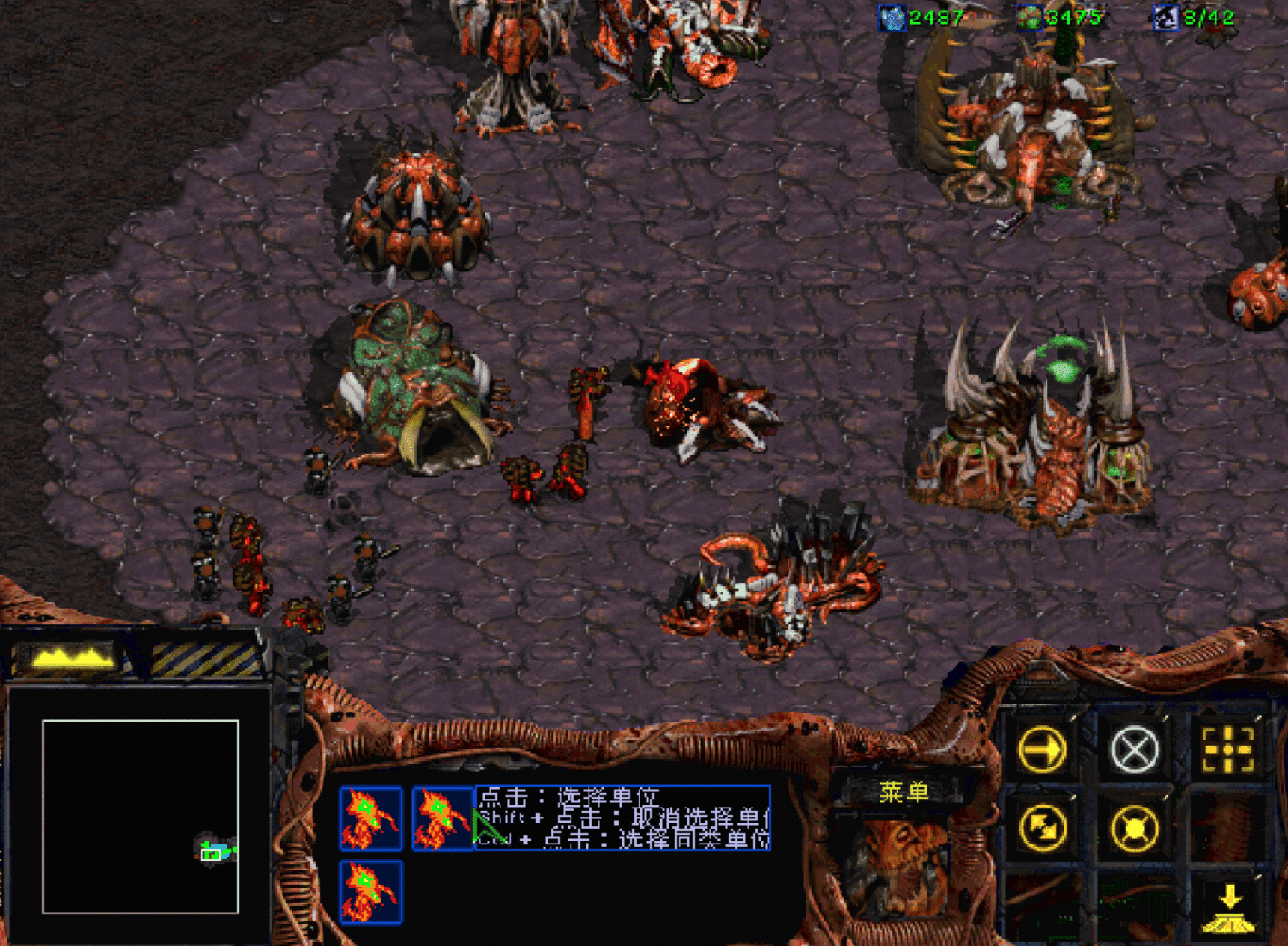 当年玩《星际争霸》的美好回忆，英语不及格，偏偏秘籍记得很牢靠