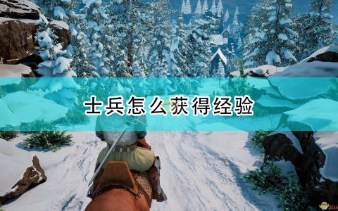 《国王的恩赐2》士兵获得经验及升级机制介绍