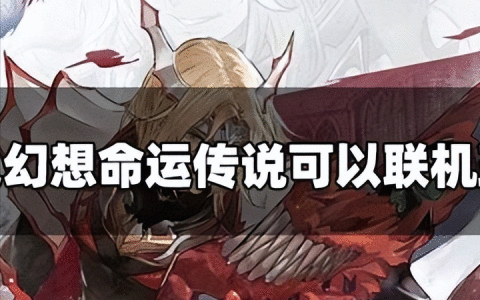 风色幻想命运传说可以联机玩吗