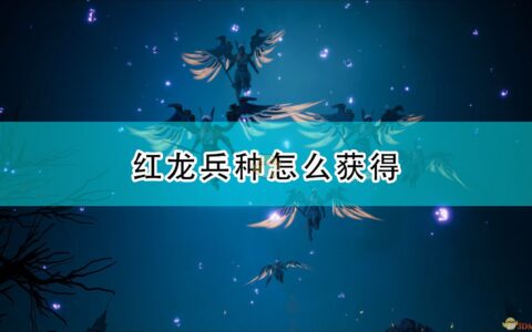 国王的恩赐2攻略（红龙获取攻略分享）