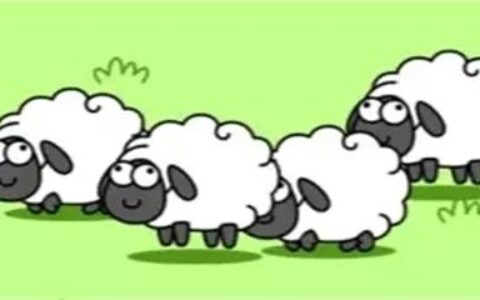羊了个羊怎么开始游戏（羊了个羊游戏有什么规律）