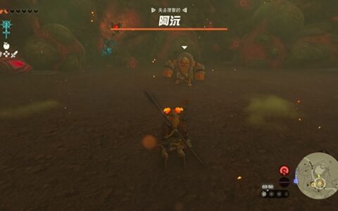 《塞尔达传说王国之泪》阿沅怎么打？ 阿沅打法攻略