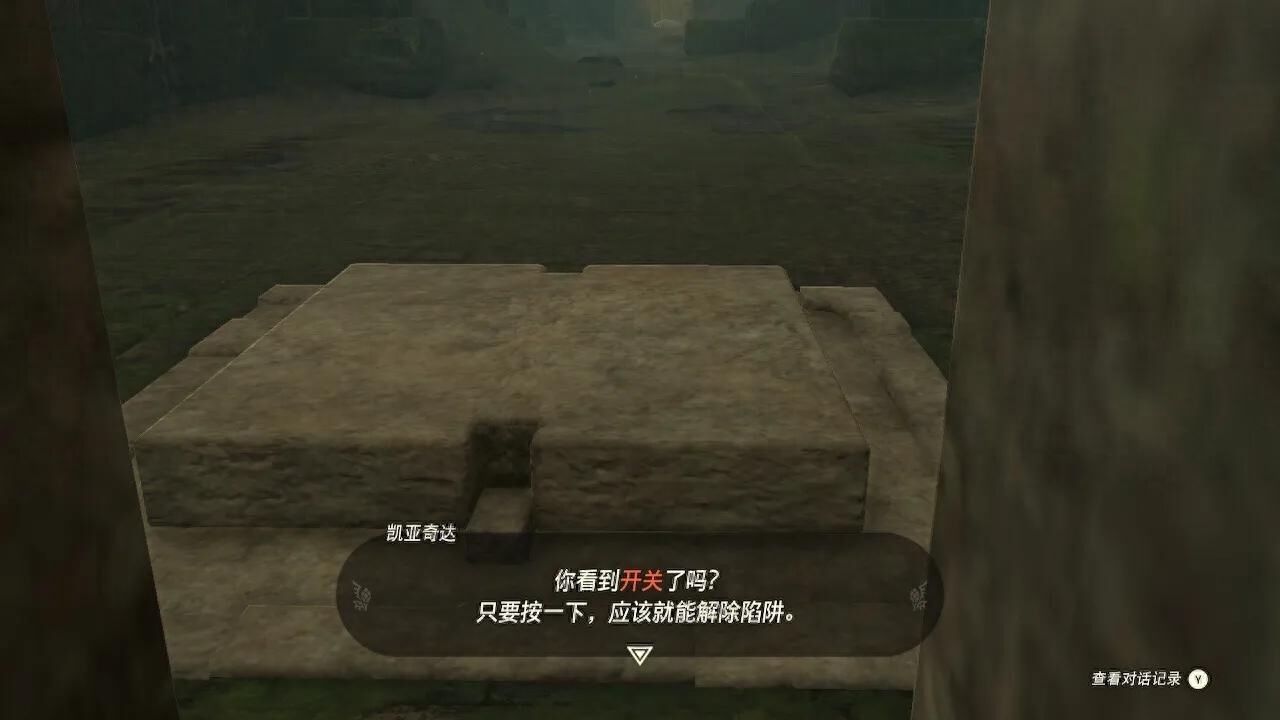 塞尔达传说之王国之泪神庙攻略-泡泡拉高地鸟望台