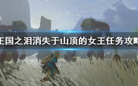 《塞尔达传说王国之泪》消失于山顶的女王任务攻略女王任务怎么做