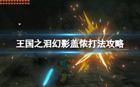 《塞尔达传说王国之泪》幻影盖侬用什么武器打？幻影盖侬打法攻略
