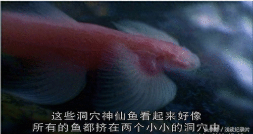 勇闯洞穴迷宫：感受地球脉动 享受难忘旅程