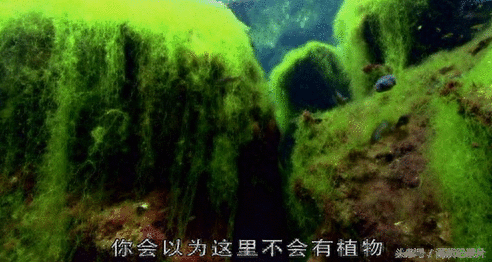 勇闯洞穴迷宫：感受地球脉动 享受难忘旅程